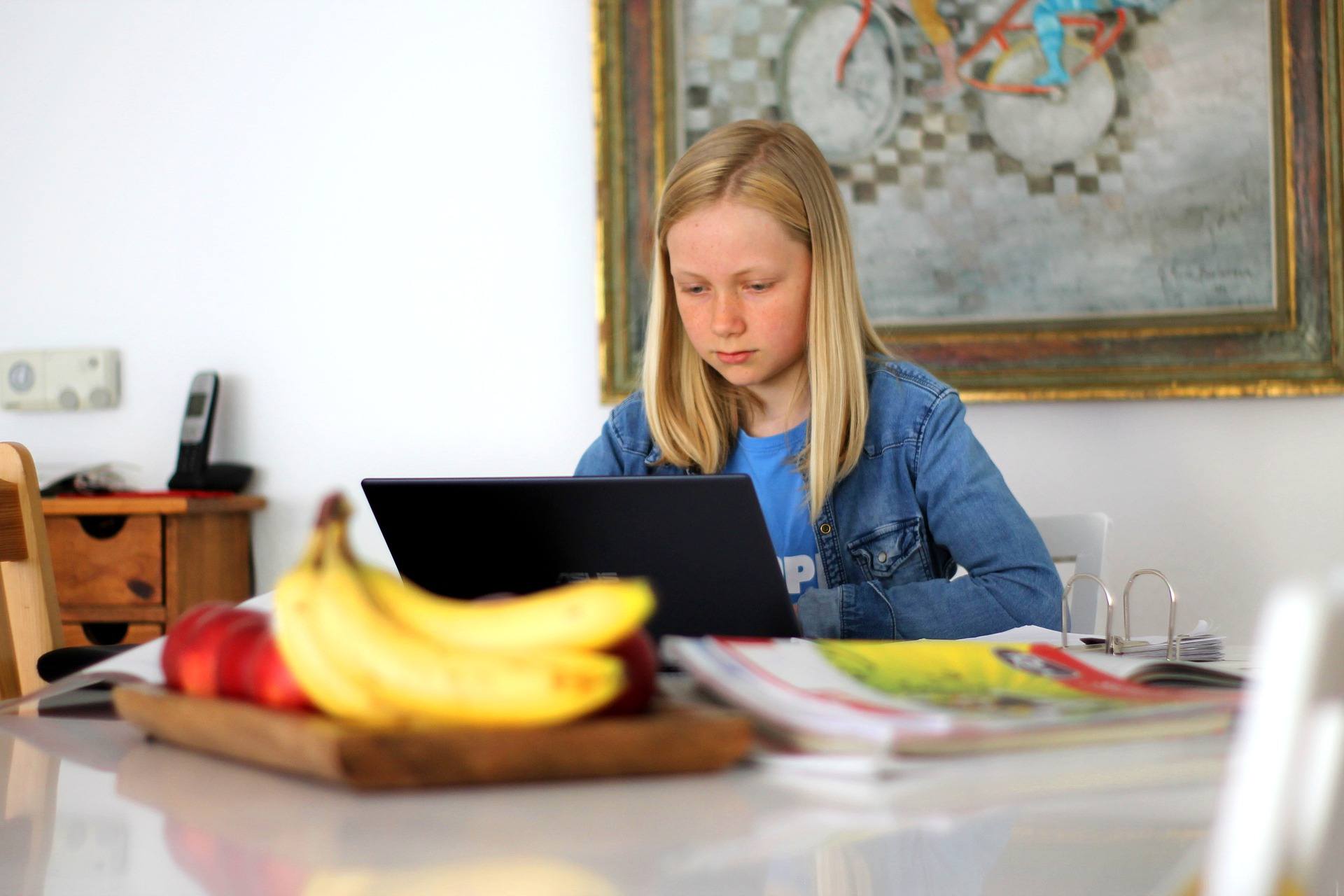 Preparing Your Home for Remote Learning